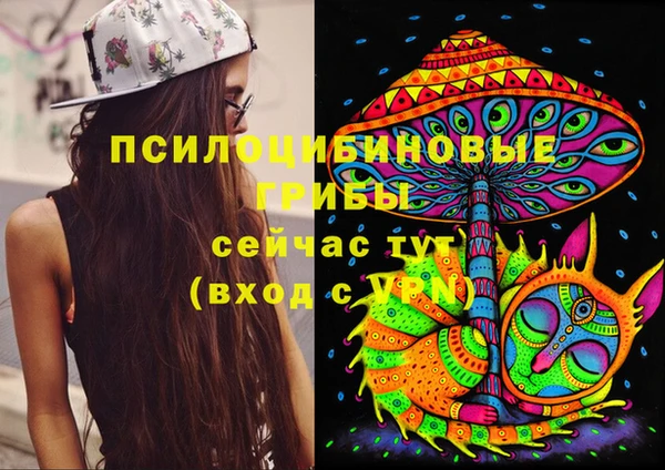 гидропоника Алексеевка