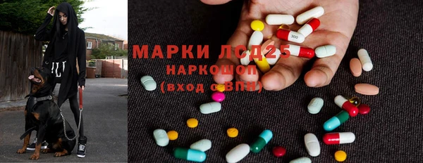 гидропоника Алексеевка