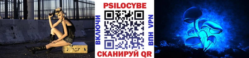 купить закладку  блэк спрут ссылка  Псилоцибиновые грибы Psilocybine cubensis  Чебоксары 