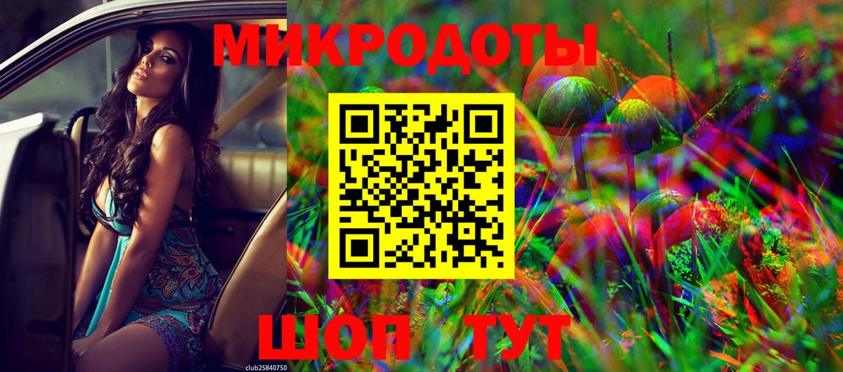 Чебоксары  Псилоцибиновые грибы Psilocybine cubensis  Вход с VPN 